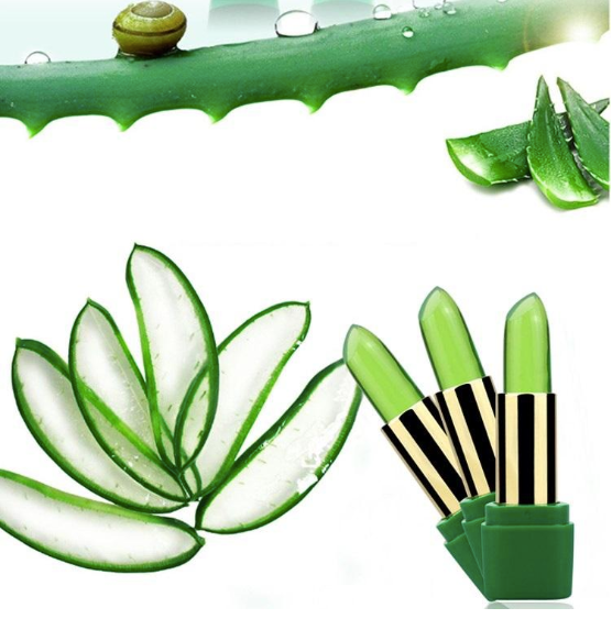 Baume à lèvres Aloe Vera