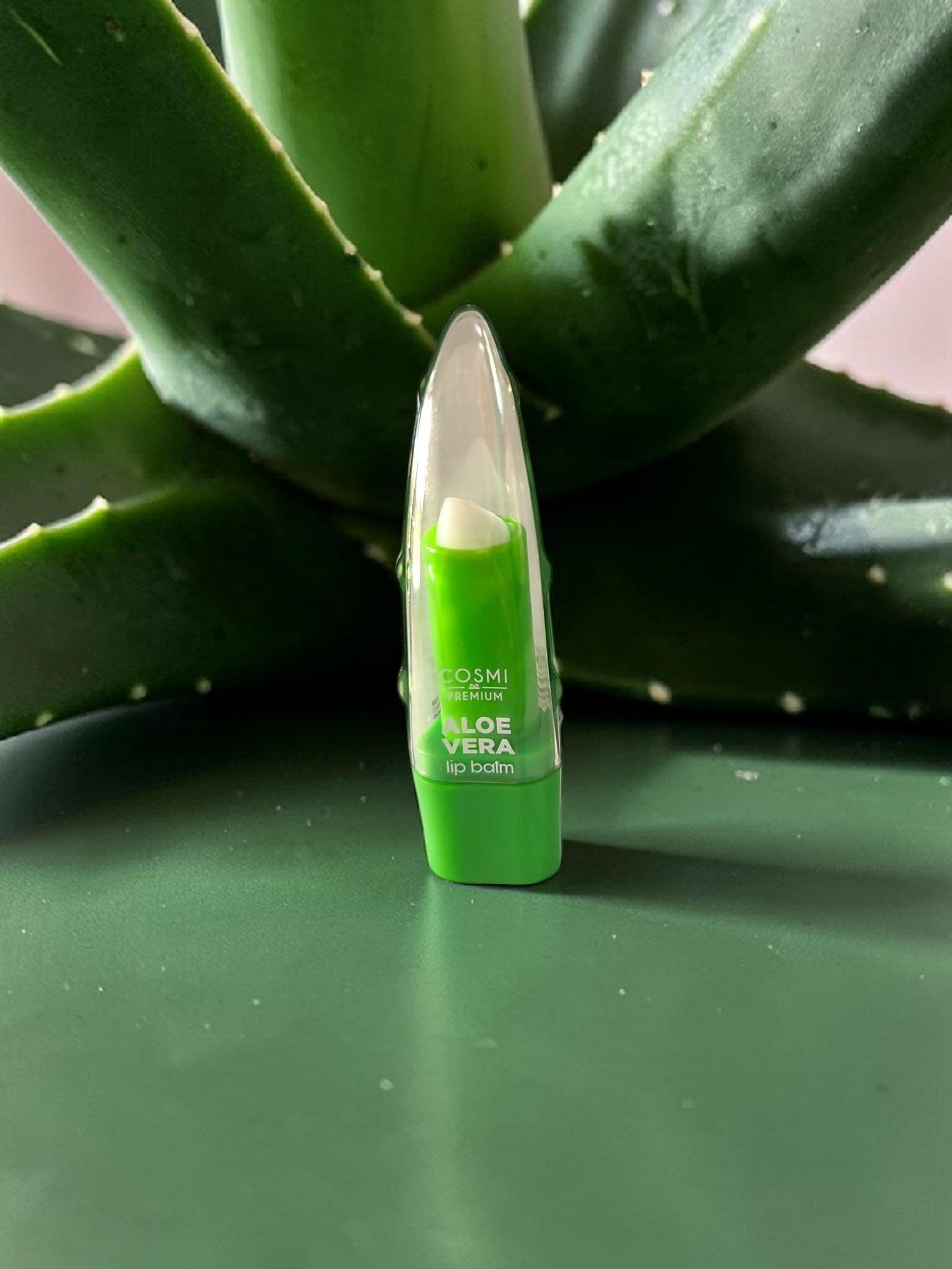 Baume à lèvres Aloe Vera