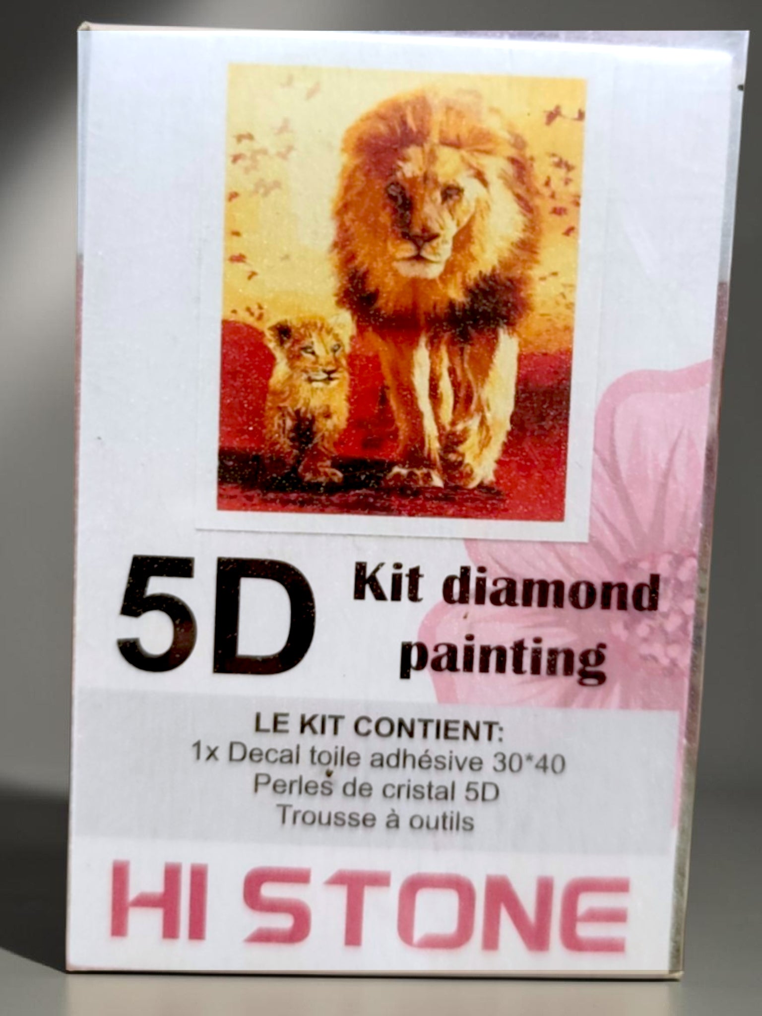 Kit Diamond Painting 5D – Lion & lionceau