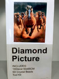 Diamond painting chevaux sauvages