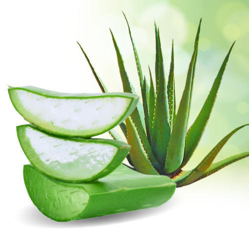 Baume à lèvres Aloe Vera